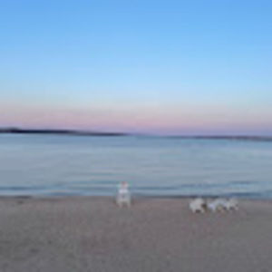 Meet your Posher, Pierson